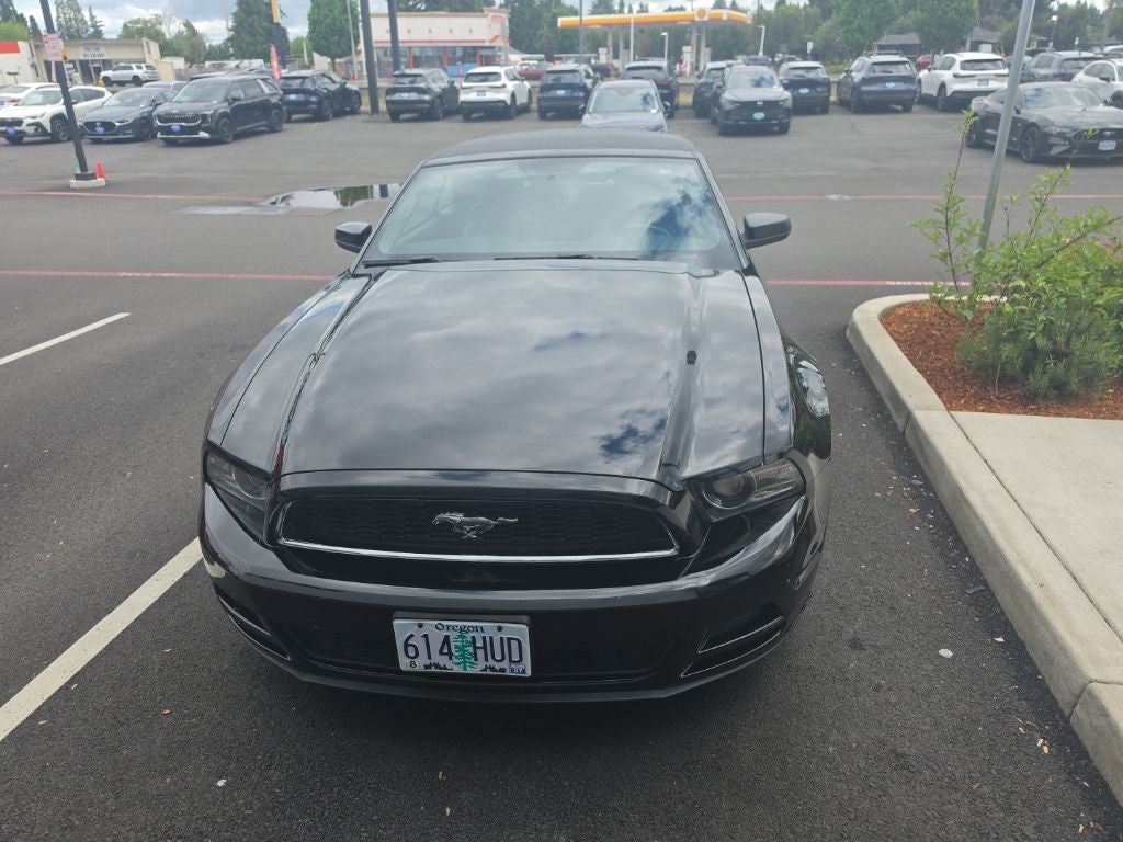 2014 Ford Mustang's photo