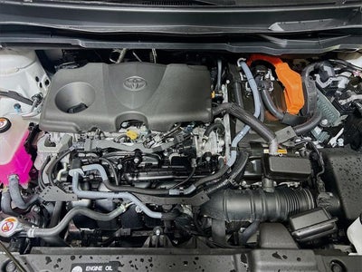 2025 Toyota Sienna XSE 7 Passenger