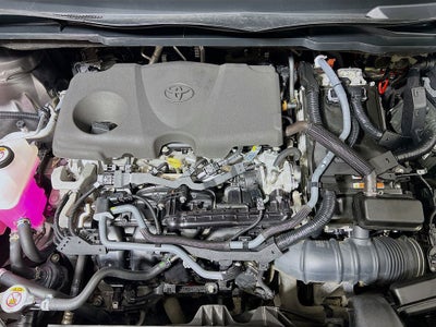2023 Toyota Sienna LE 8 Passenger